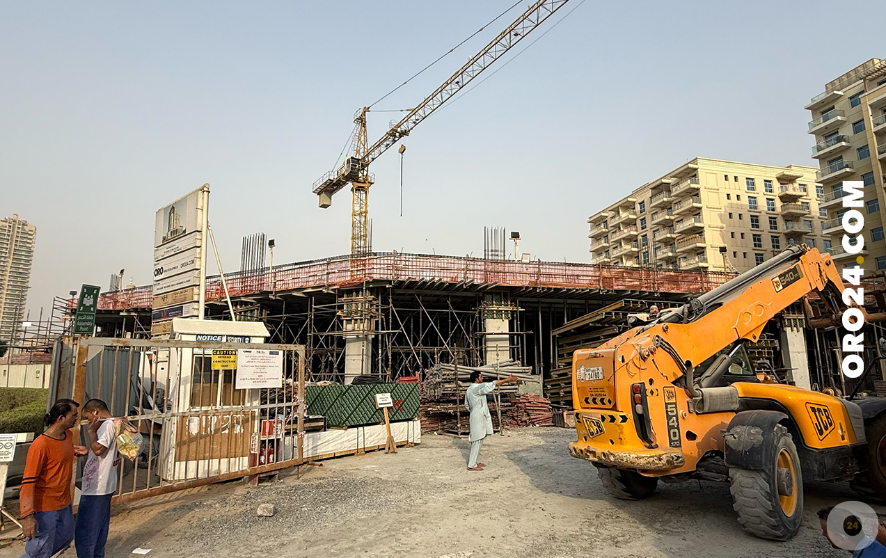 ALBERO BY ORO24 Construction