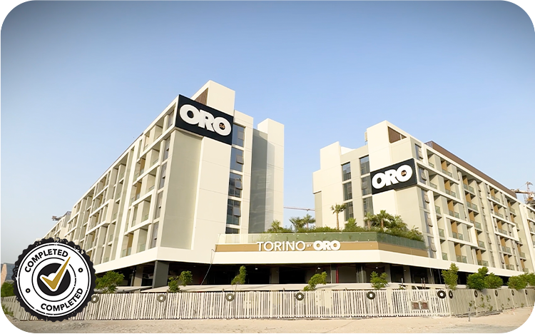 Завершение проекта Torino от ORO24